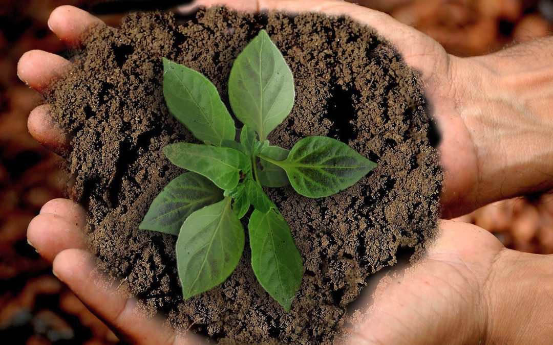 Professionals behouden voor de zorg: geld speelt (g)een rol