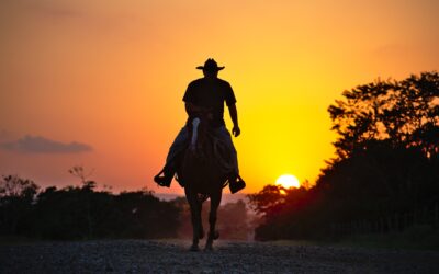 Cowboys op de zorgmarkt; Amerikaanse toestanden? 